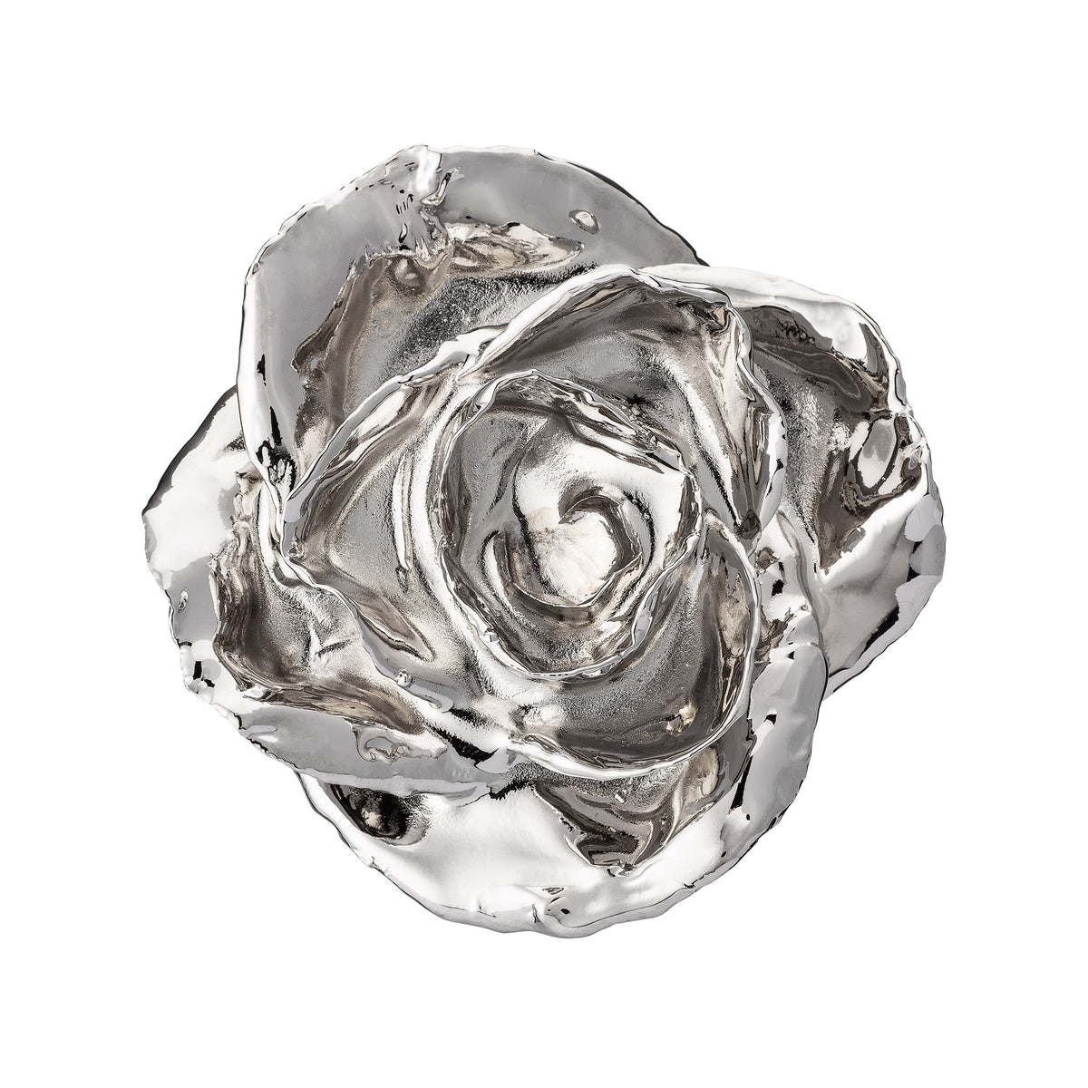 Platinum Dipped Roses: Half Dozen