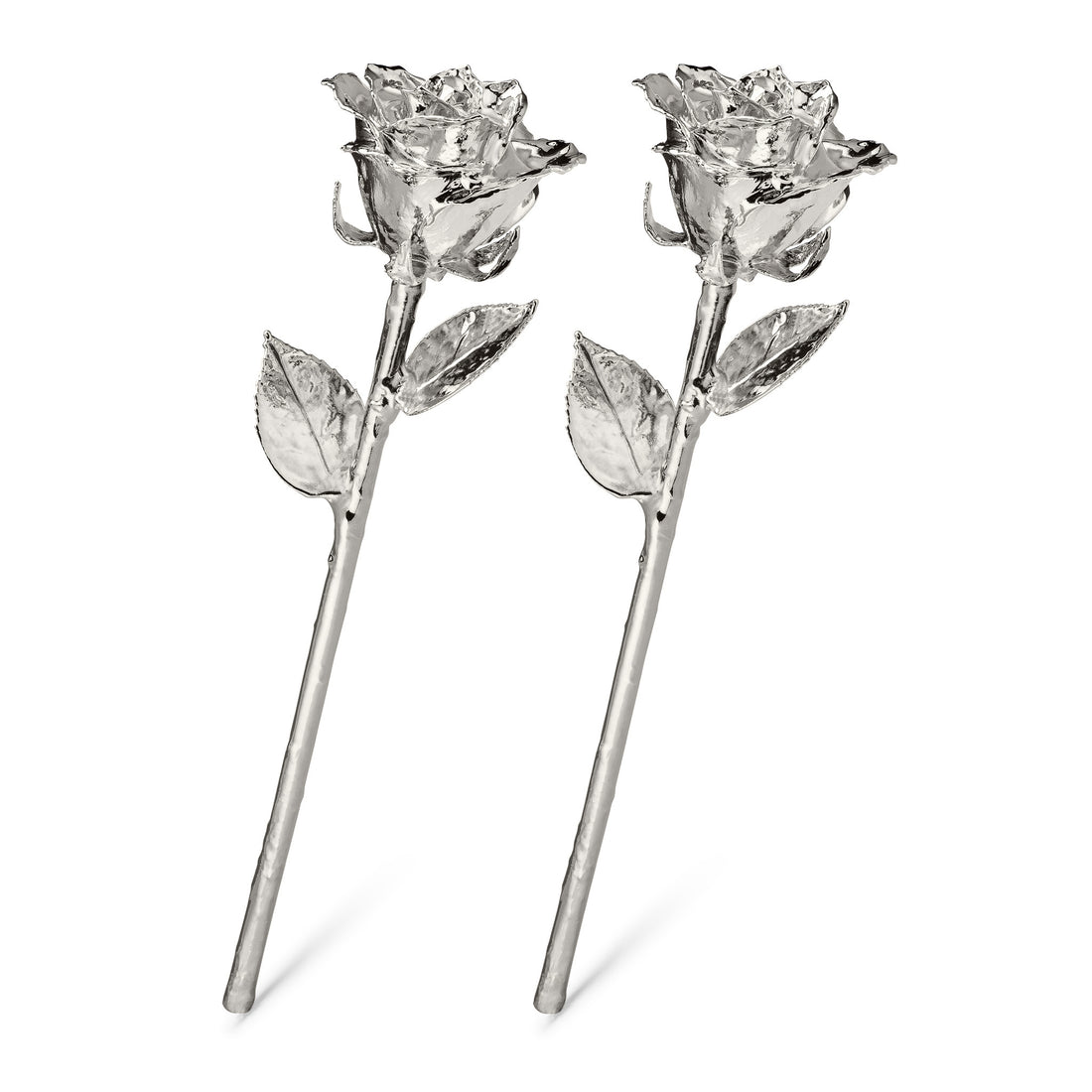 Platinum Dipped Roses: Combo Deal