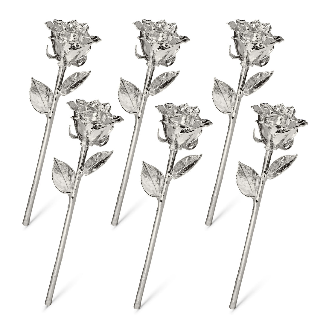 Platinum Dipped Roses: Half Dozen