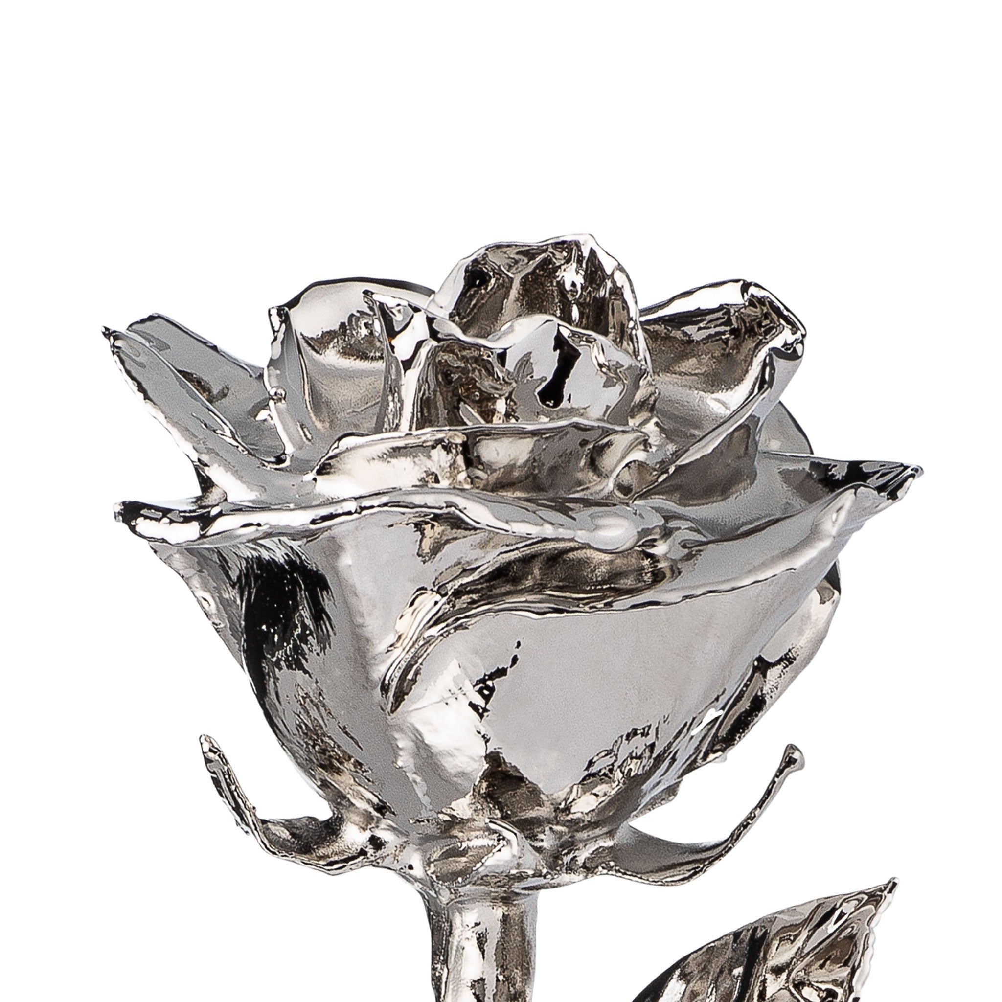 Platinum Dipped Roses: Combo Deal