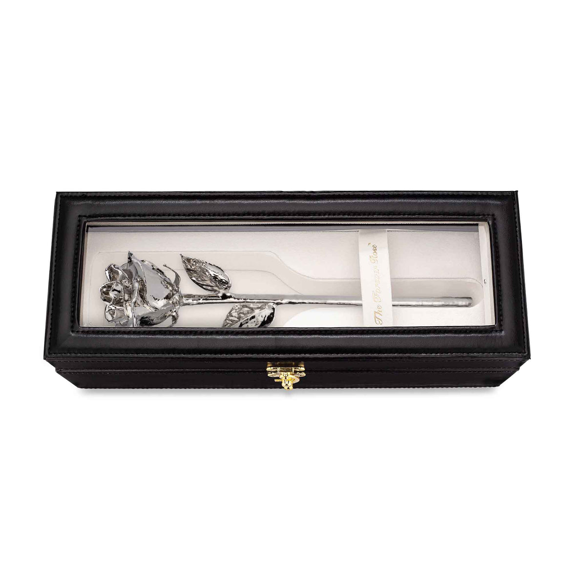 Leather Display Case Combo