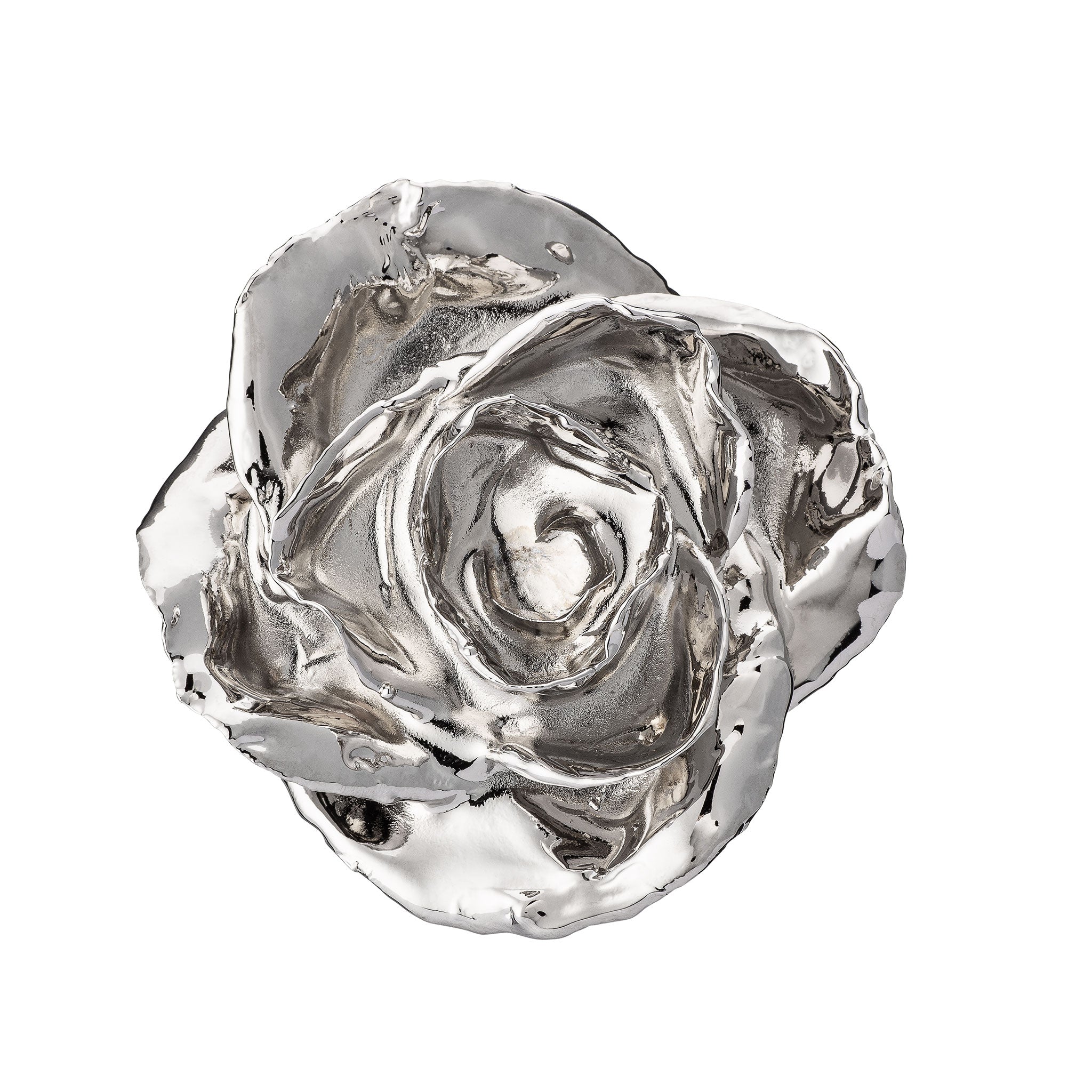 Forever Rose Bloom Box & Phantom Vase™ Combo (Platinum)