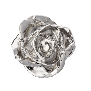 Forever Rose Leather Display Case Combo (Platinum)