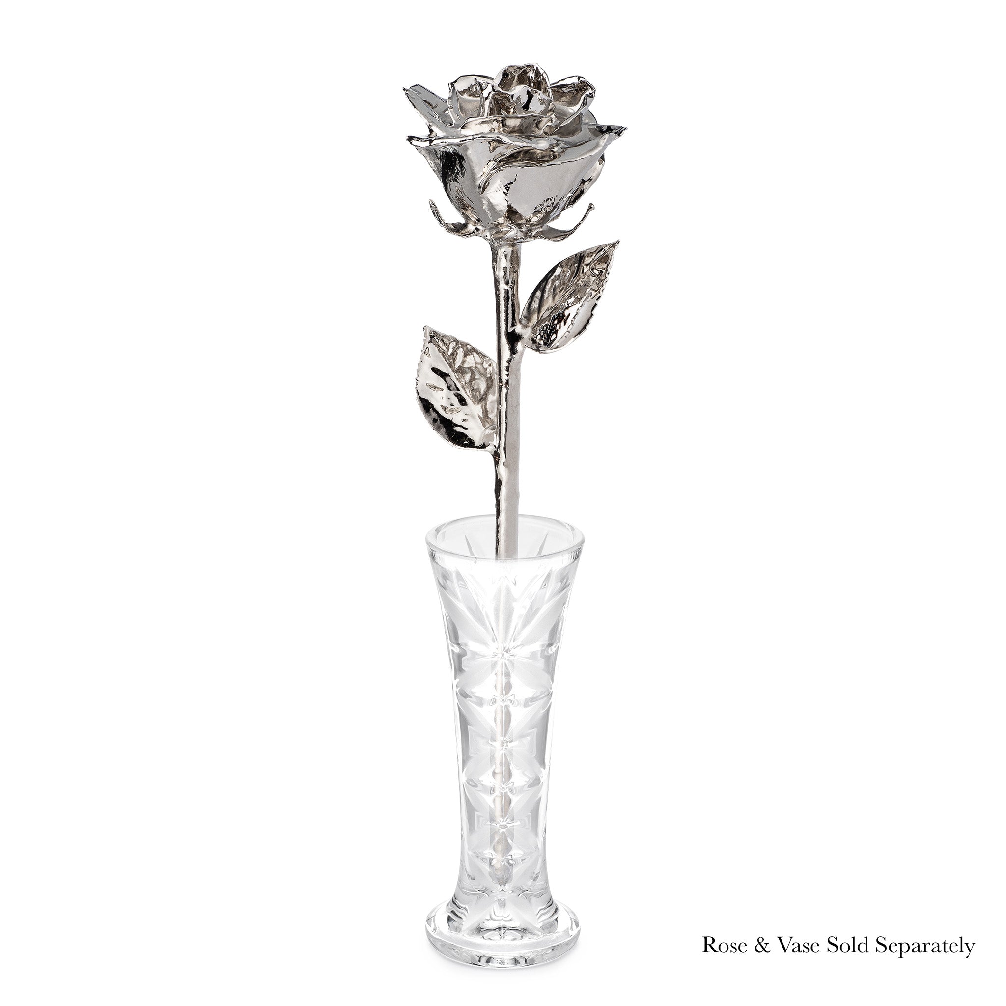 Platinum Dipped Forever Rose