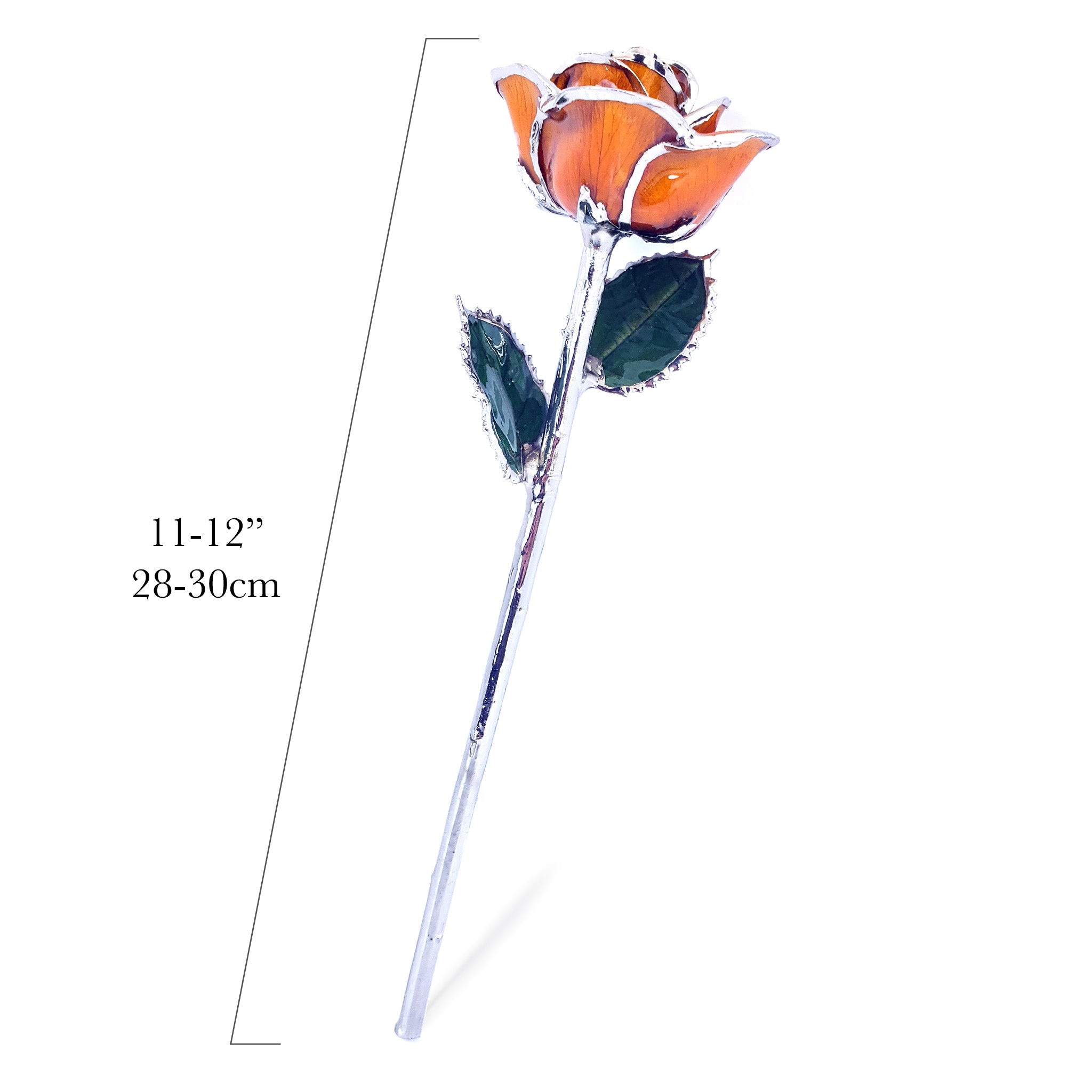 Platinum Forever Rose - Amber