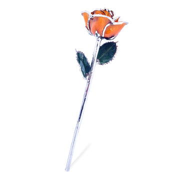 Platinum Forever Rose - Amber