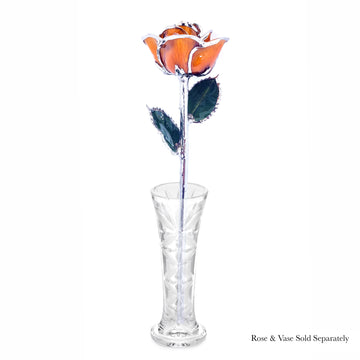 Platinum Forever Rose - Amber