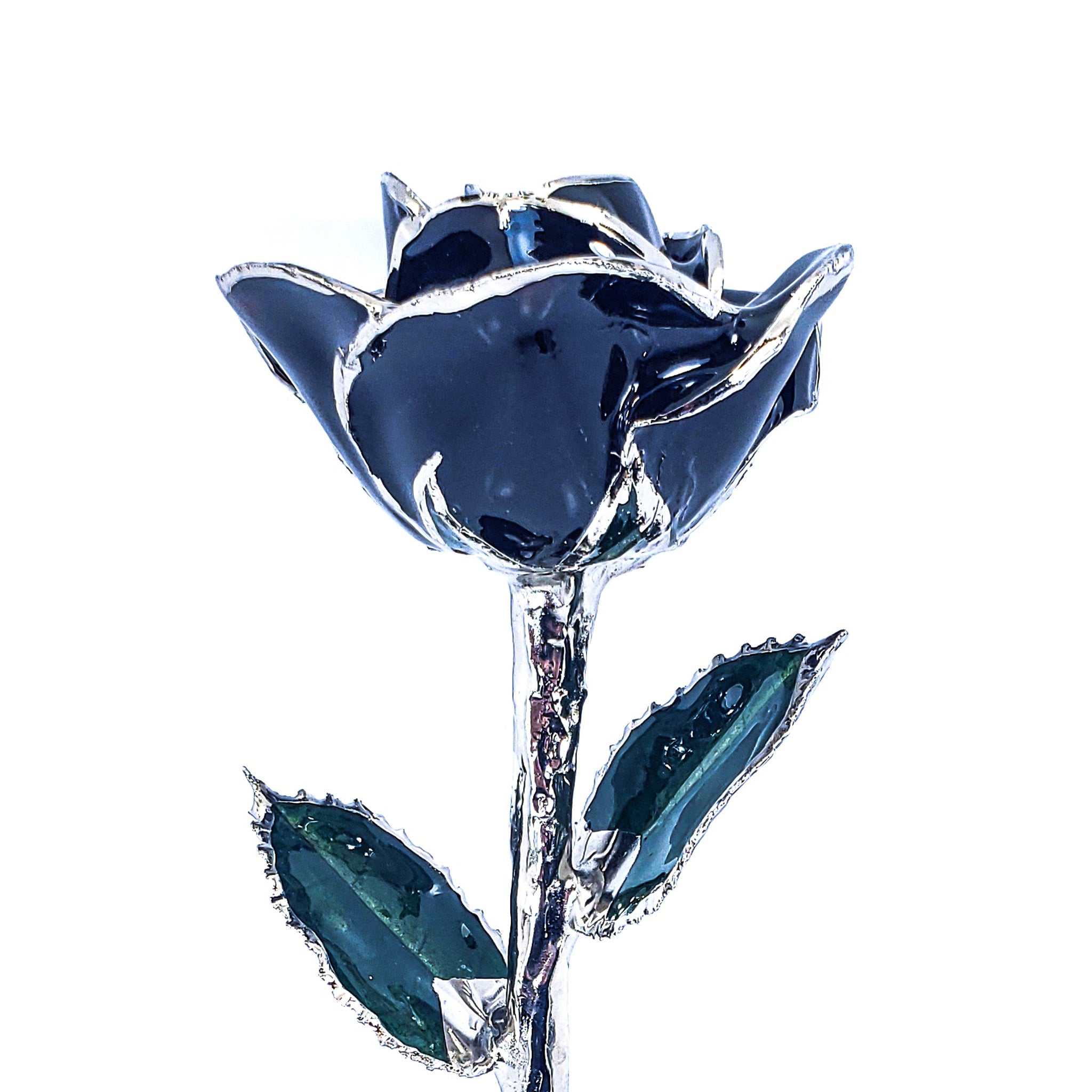 Platinum Forever Rose - Black