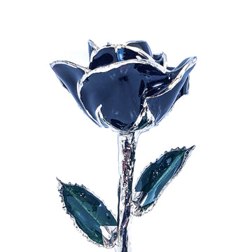 Platinum Forever Rose - Black