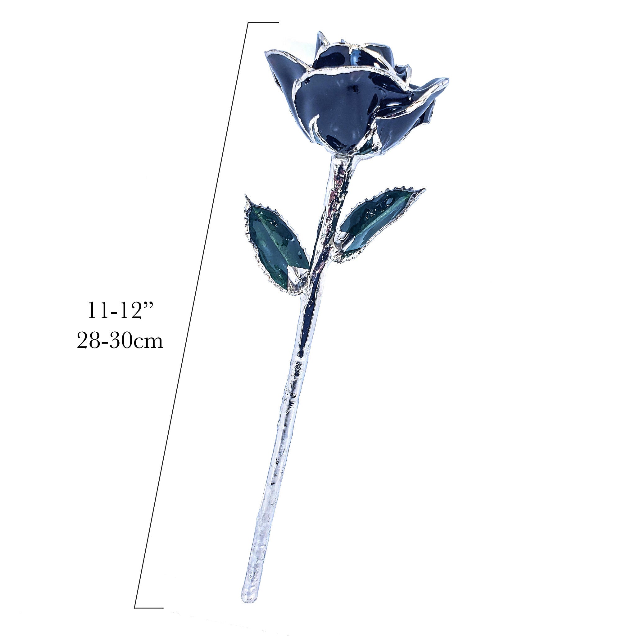 Platinum Forever Rose - Black