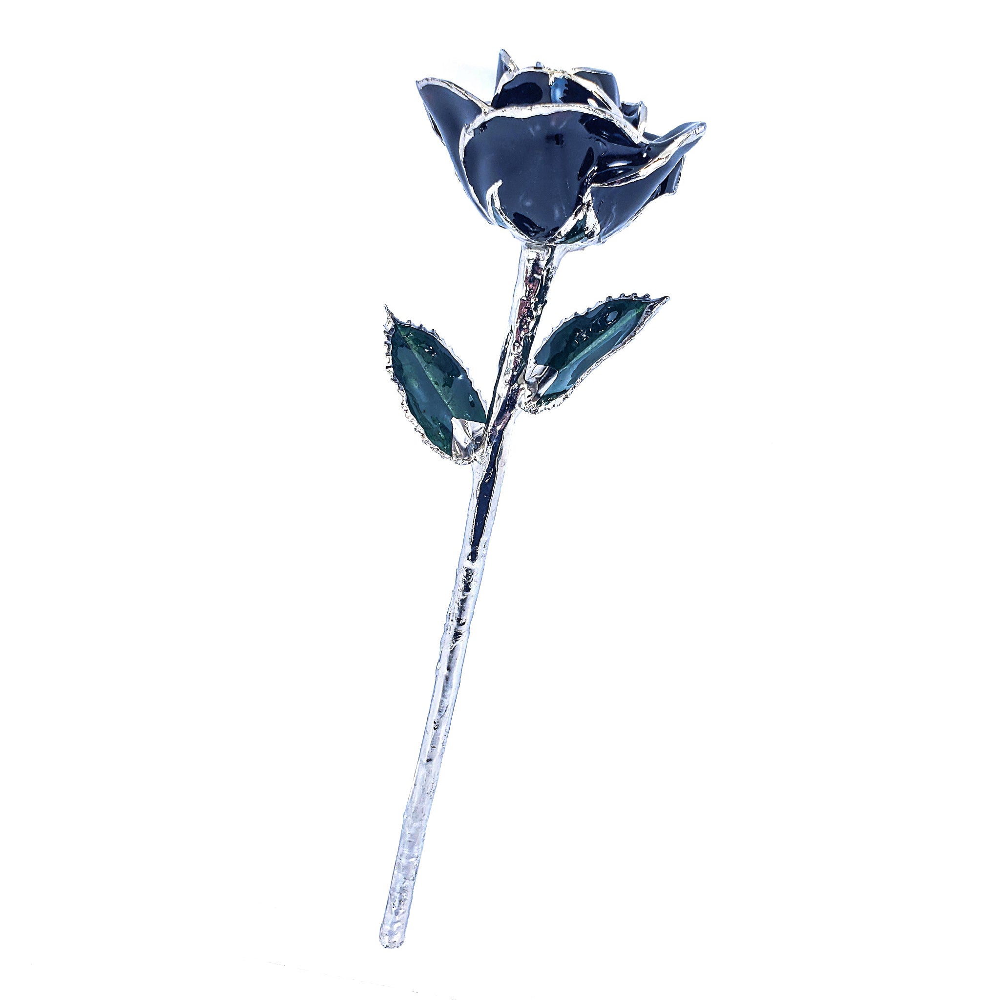 Platinum Forever Rose - Black