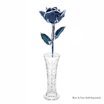 Platinum Forever Rose - Black