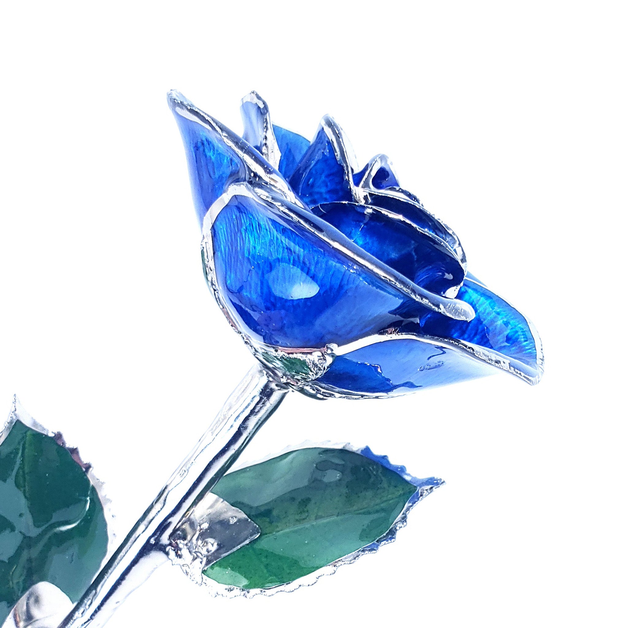 Platinum Forever Rose - Blue - The Forever Rose