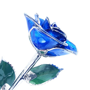 Platinum Forever Rose - Blue