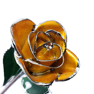Platinum Forever Rose - Butterscotch