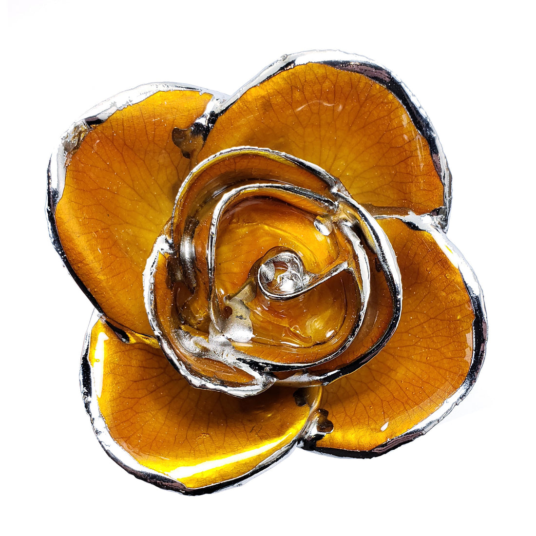 Platinum Forever Rose - Butterscotch