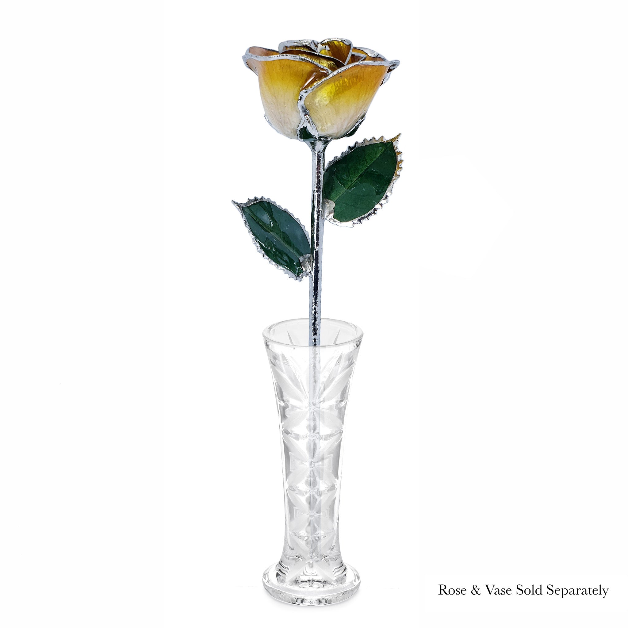 Platinum Forever Rose - Butterscotch
