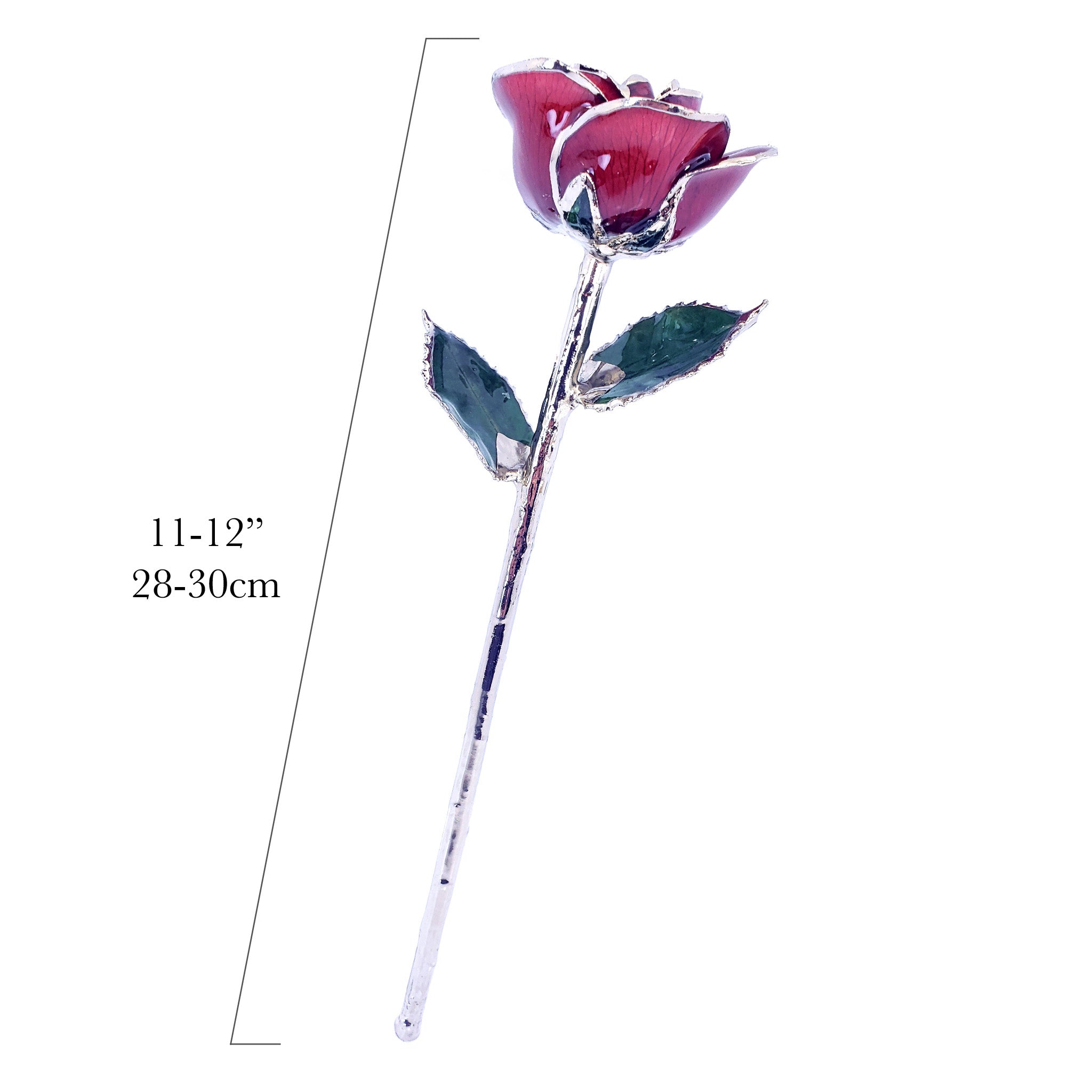 Platinum Forever Rose - Burgundy