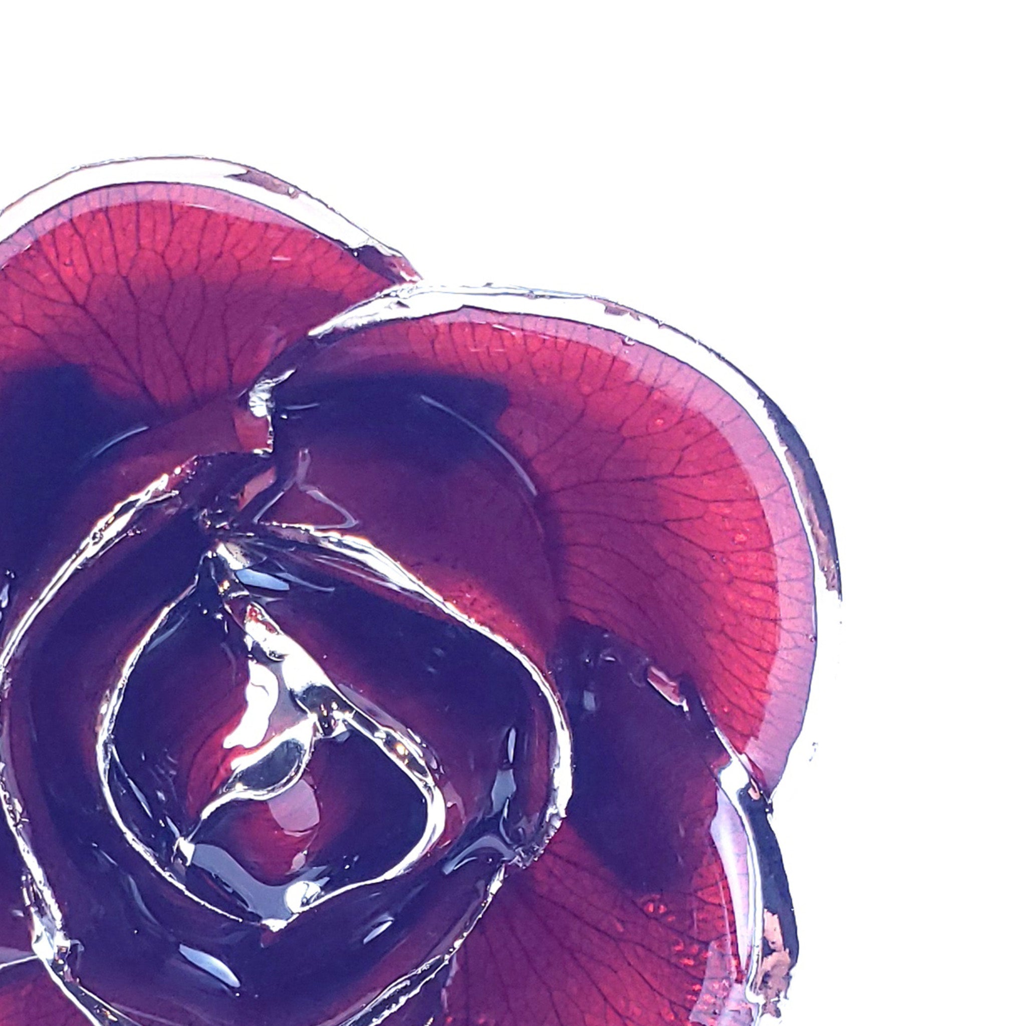 Platinum Forever Rose - Burgundy