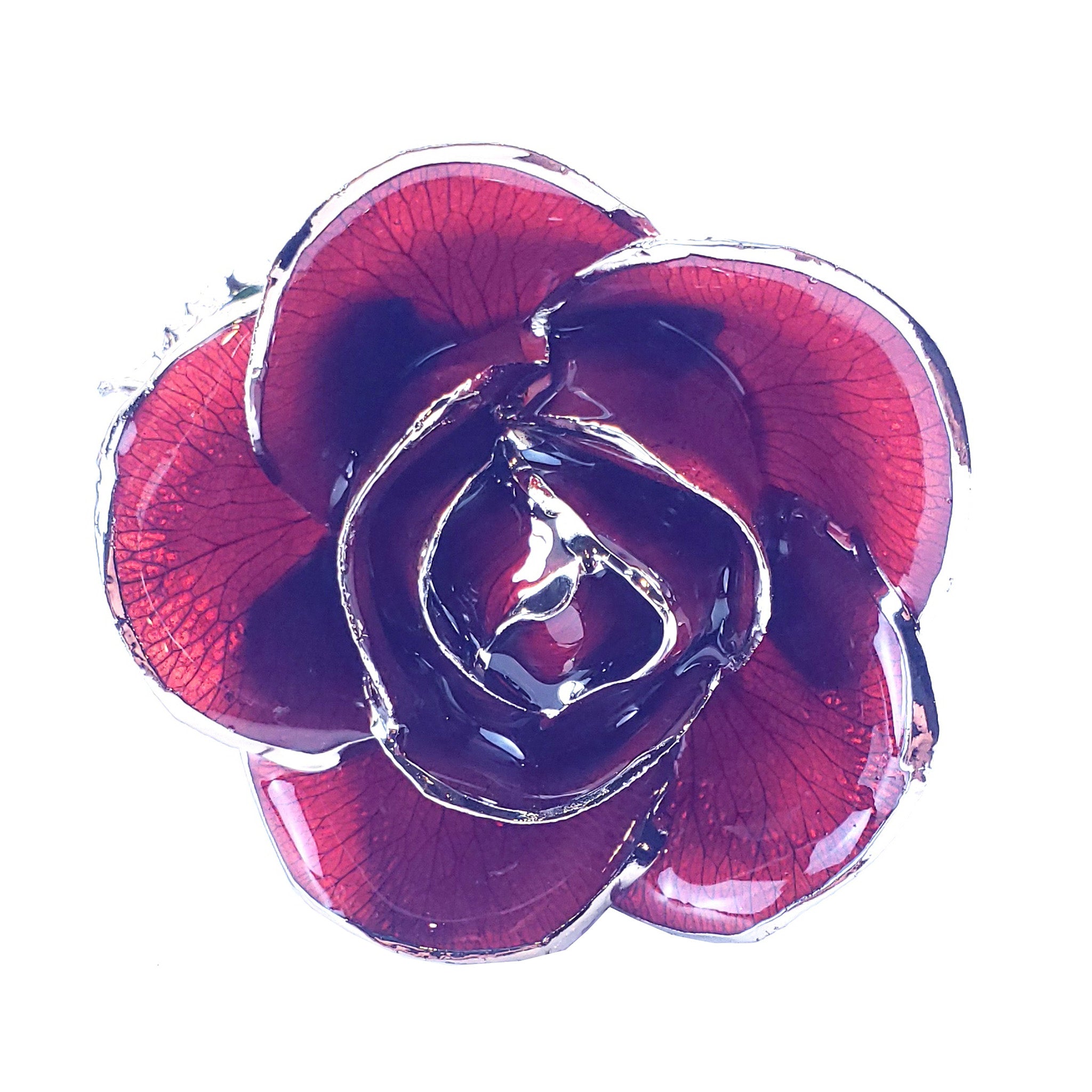 Platinum Forever Rose - Burgundy