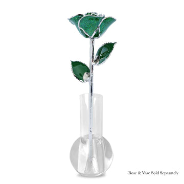 Platinum Forever Rose - Evergreen Sparkle
