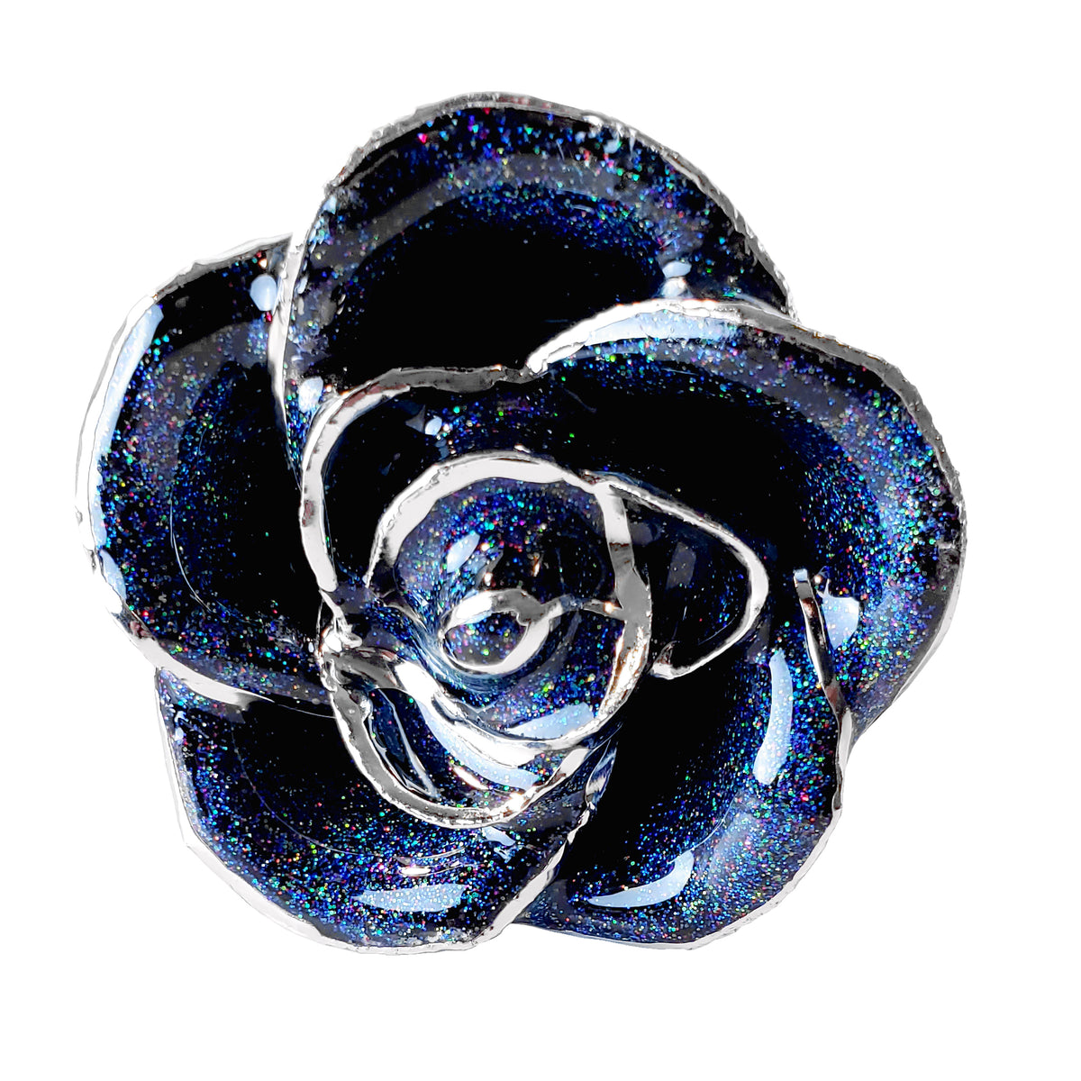 Custom Enchanted Rose - Galaxy Platinum Trim Rose