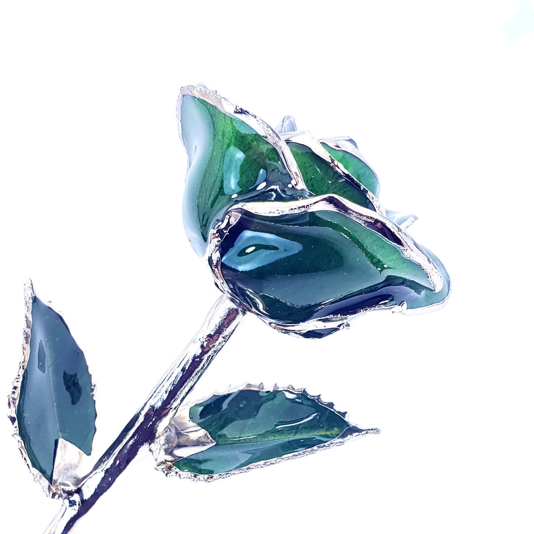 Platinum Forever Rose - Green