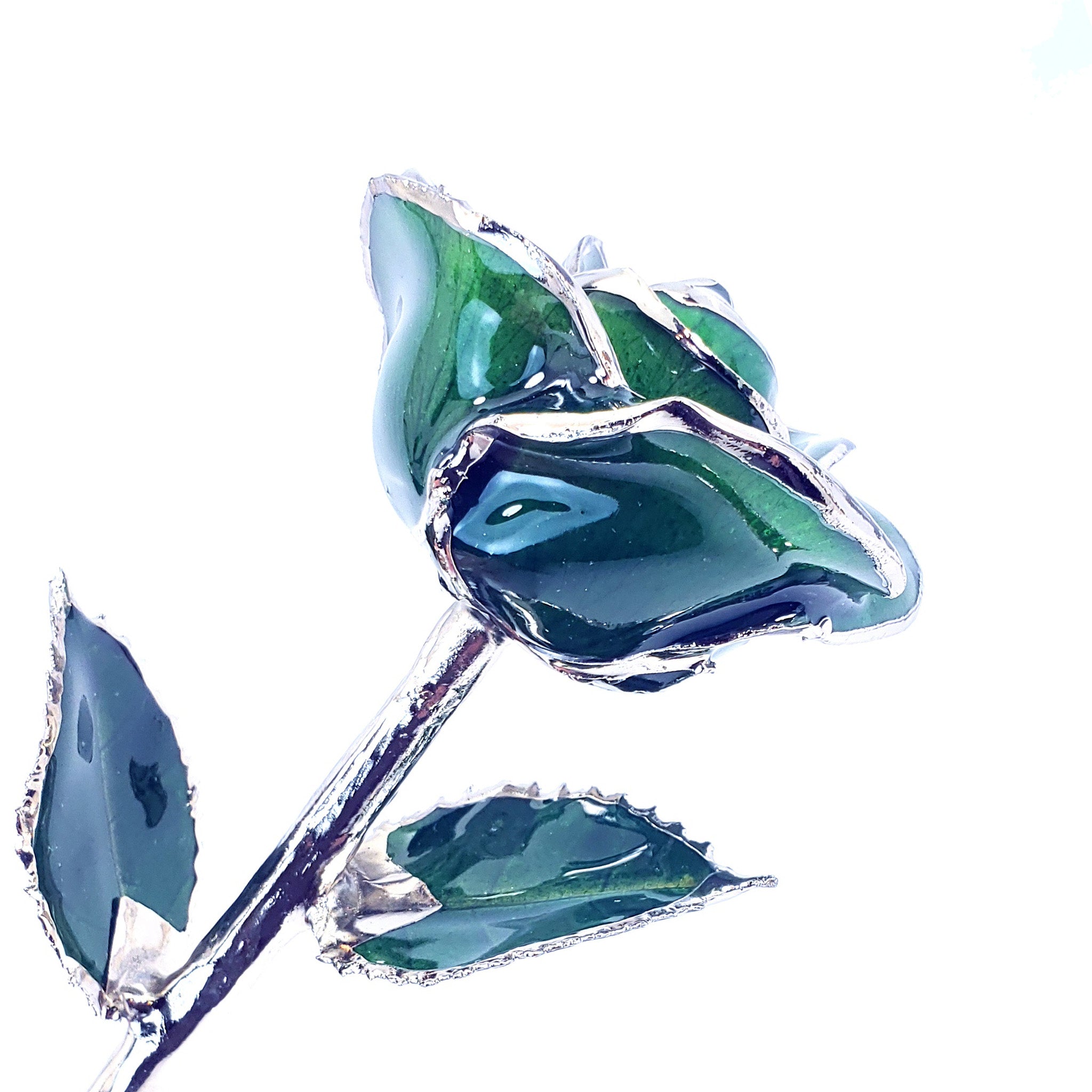 Platinum Forever Rose - Green - The Forever Rose
