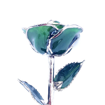 Platinum Forever Rose - Green