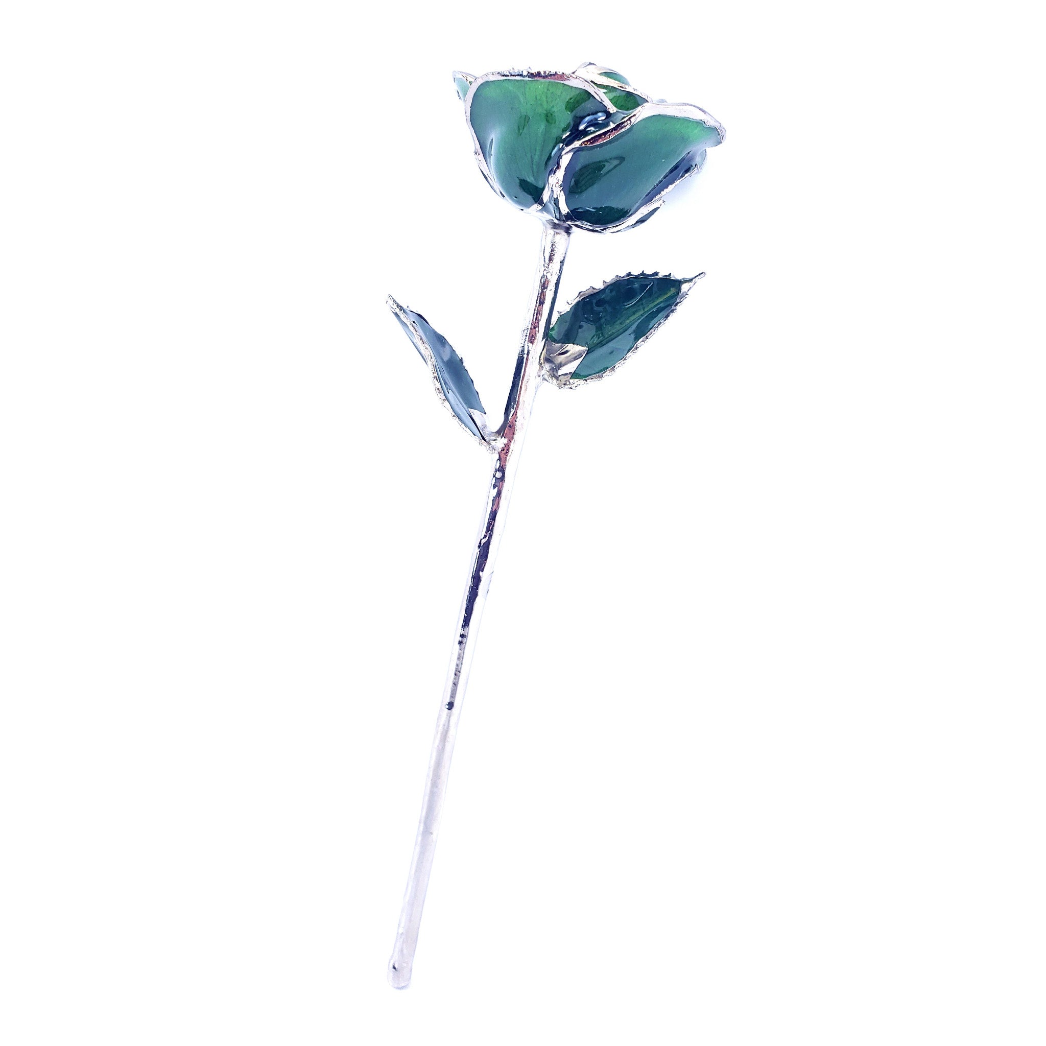 Platinum Forever Rose - Green - The Forever Rose