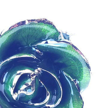 Platinum Forever Rose - Green