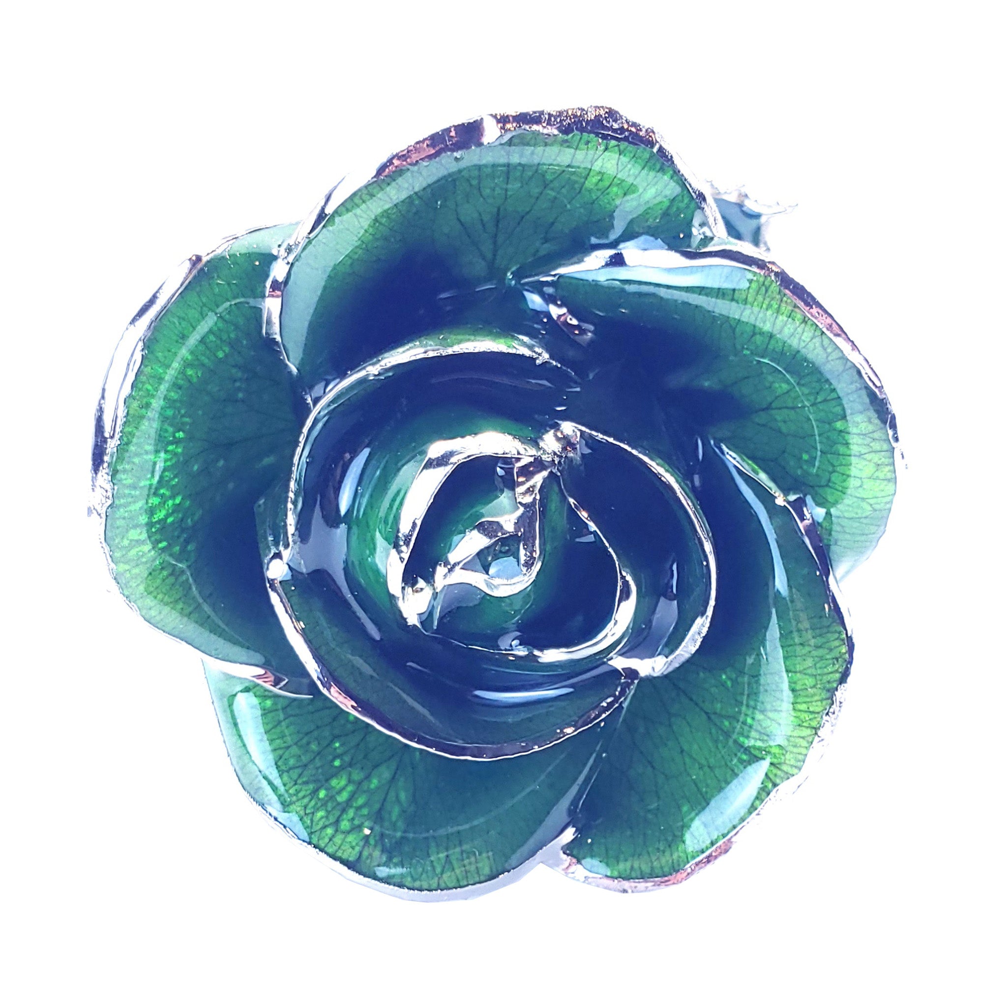 Platinum Forever Rose - Green