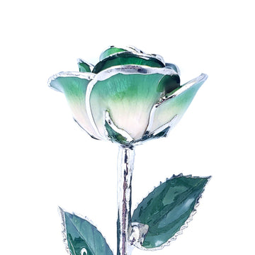 Platinum Forever Rose - Green 2-Tone
