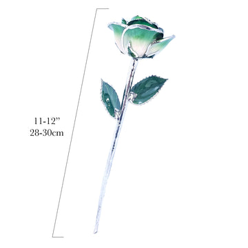 Platinum Forever Rose - Green 2-Tone