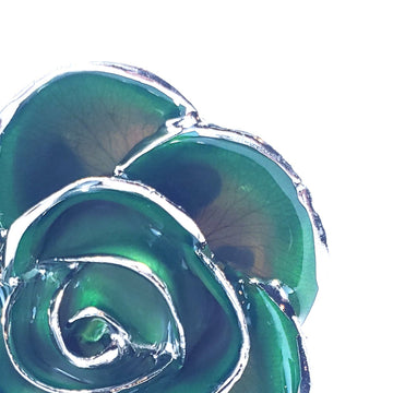 Platinum Forever Rose - Green 2-Tone