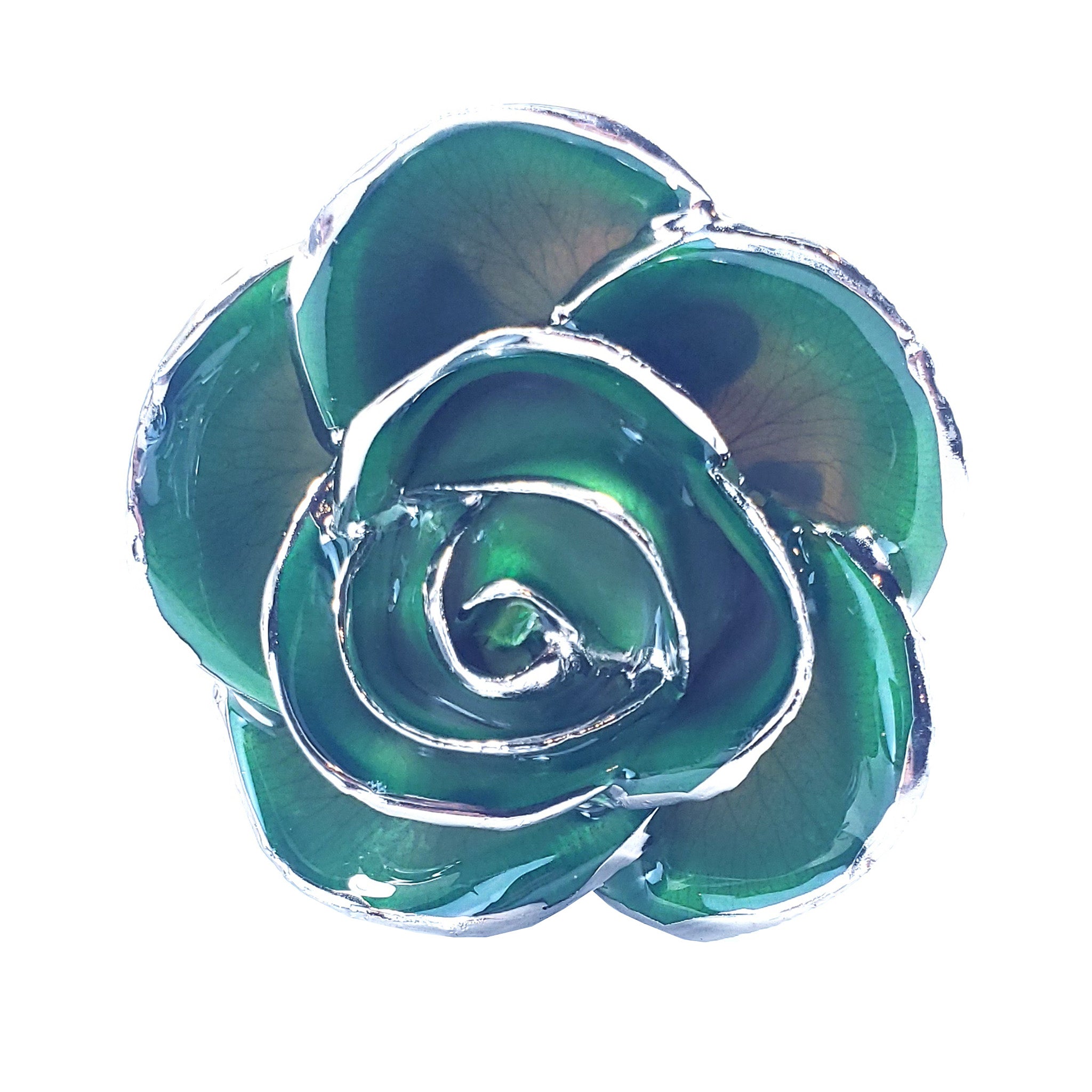 Platinum Forever Rose - Green 2-Tone
