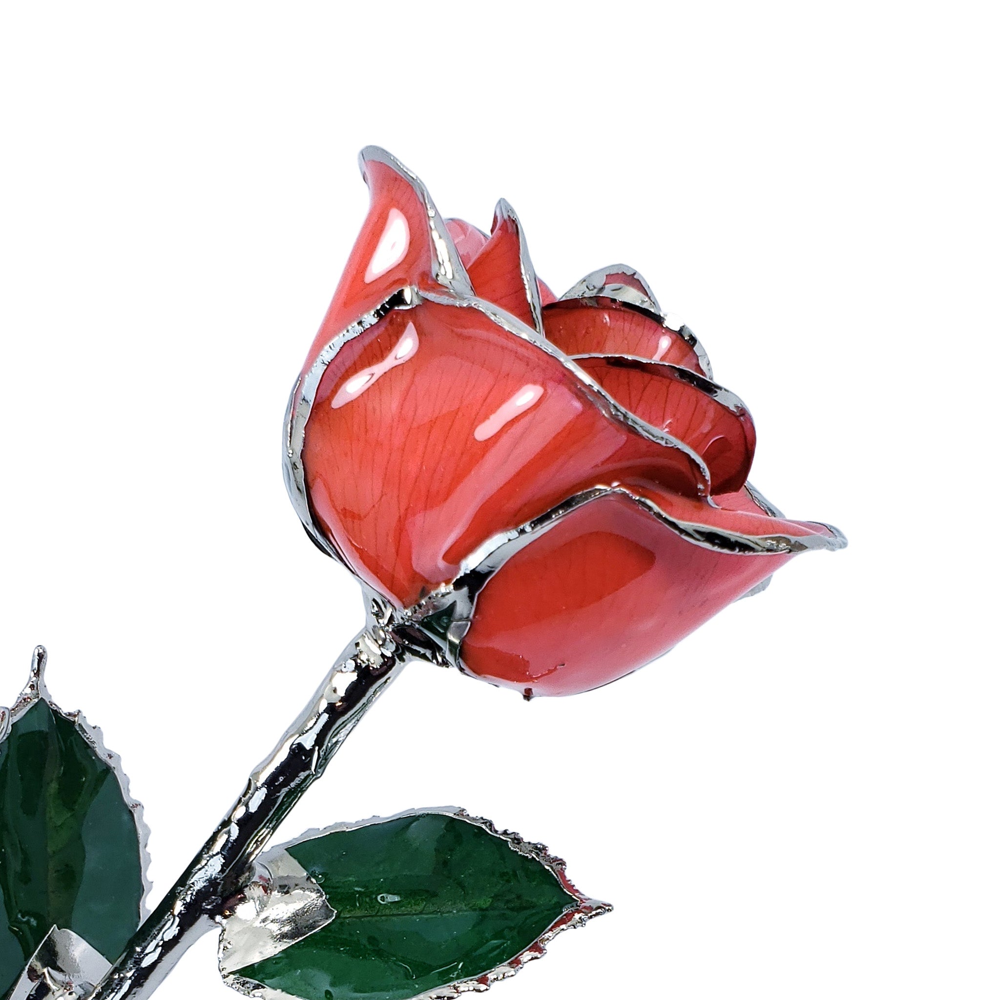Platinum Forever Rose - Kiss Me Red