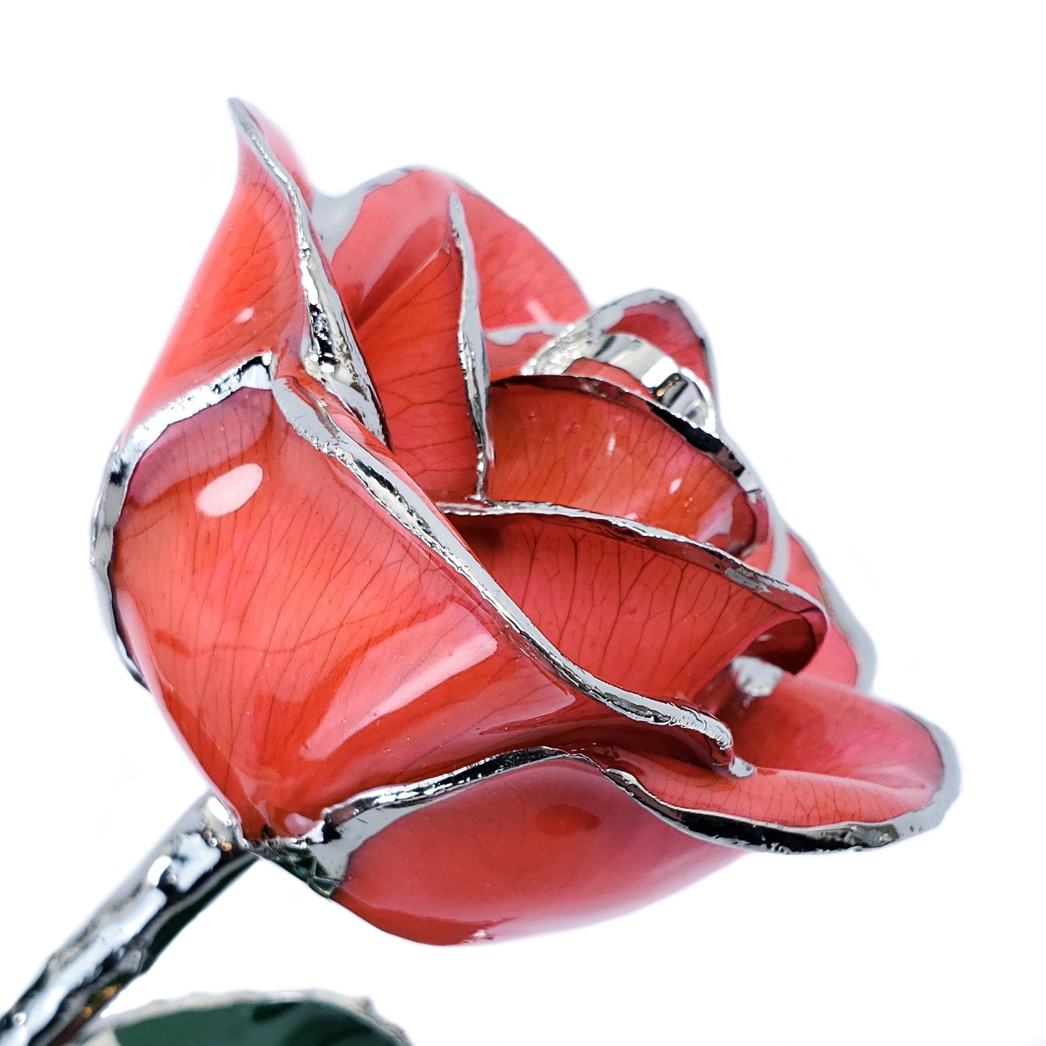 Platinum Forever Rose - Kiss Me Red