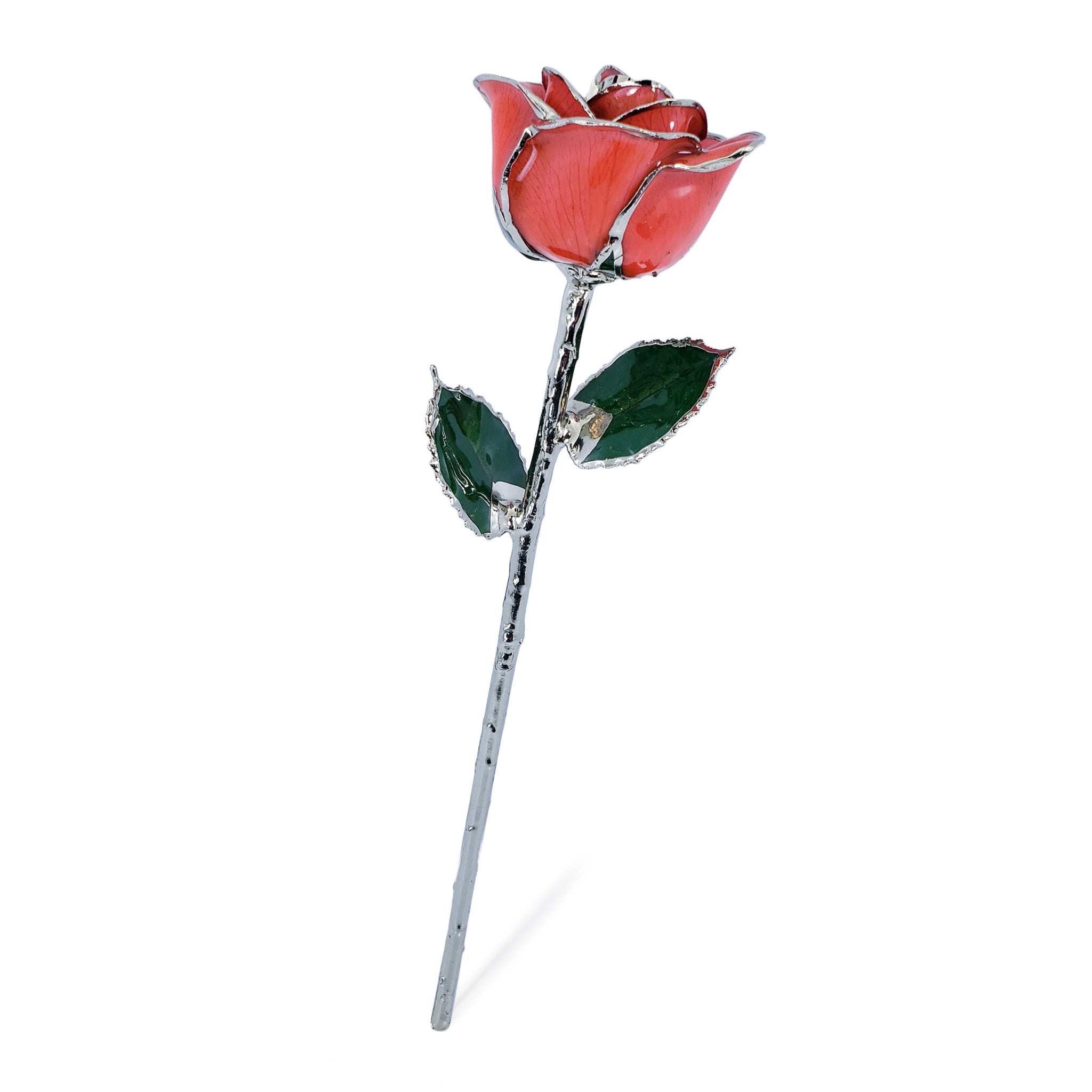 Platinum Forever Rose - Kiss Me Red