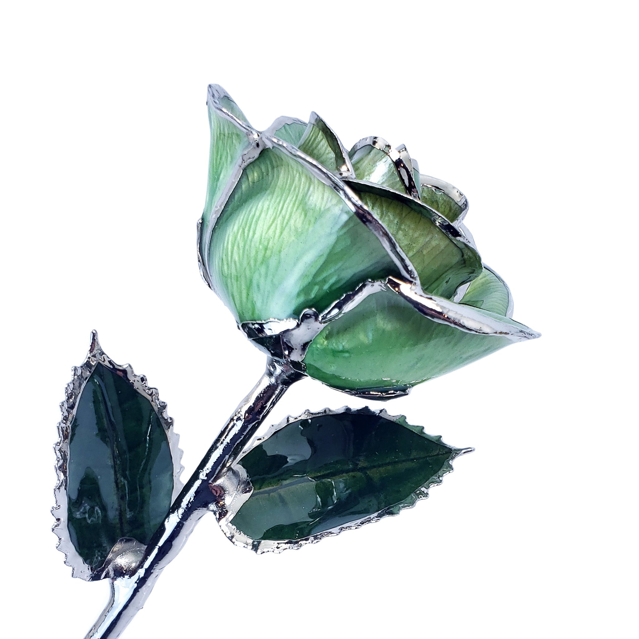 Platinum Forever Rose - Light Green - The Forever Rose