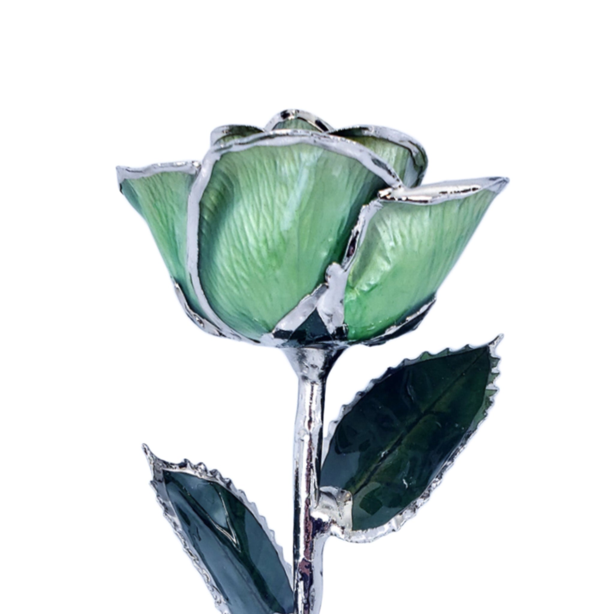 Platinum Forever Rose - Light Green