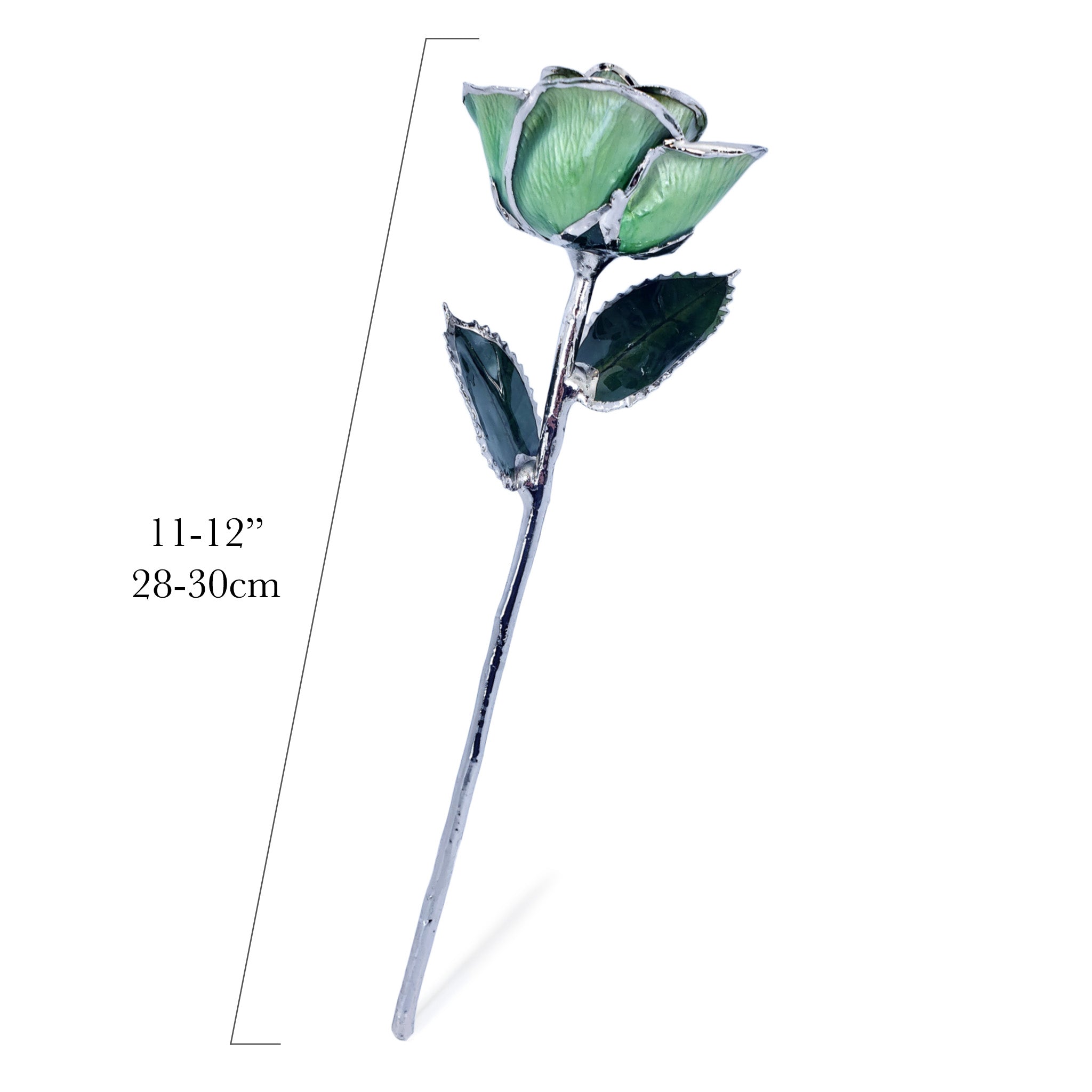 Platinum Forever Rose - Light Green