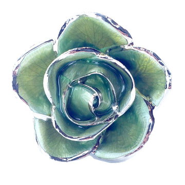 Platinum Forever Rose - Light Green