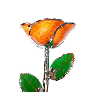 Custom Enchanted Rose - Platinum Trim Orange You Pretty