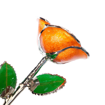 Custom Enchanted Rose - Platinum Trim Orange You Pretty