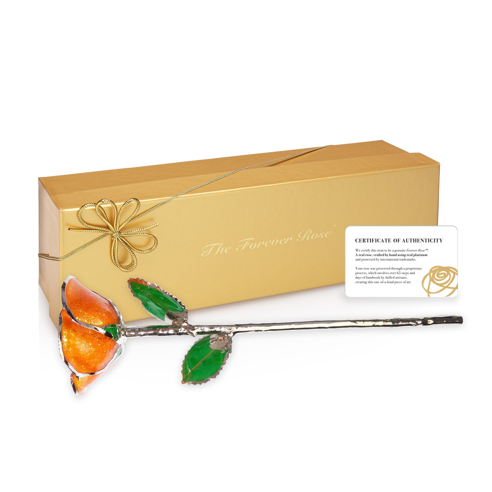 Platinum Forever Rose - Orange You Pretty