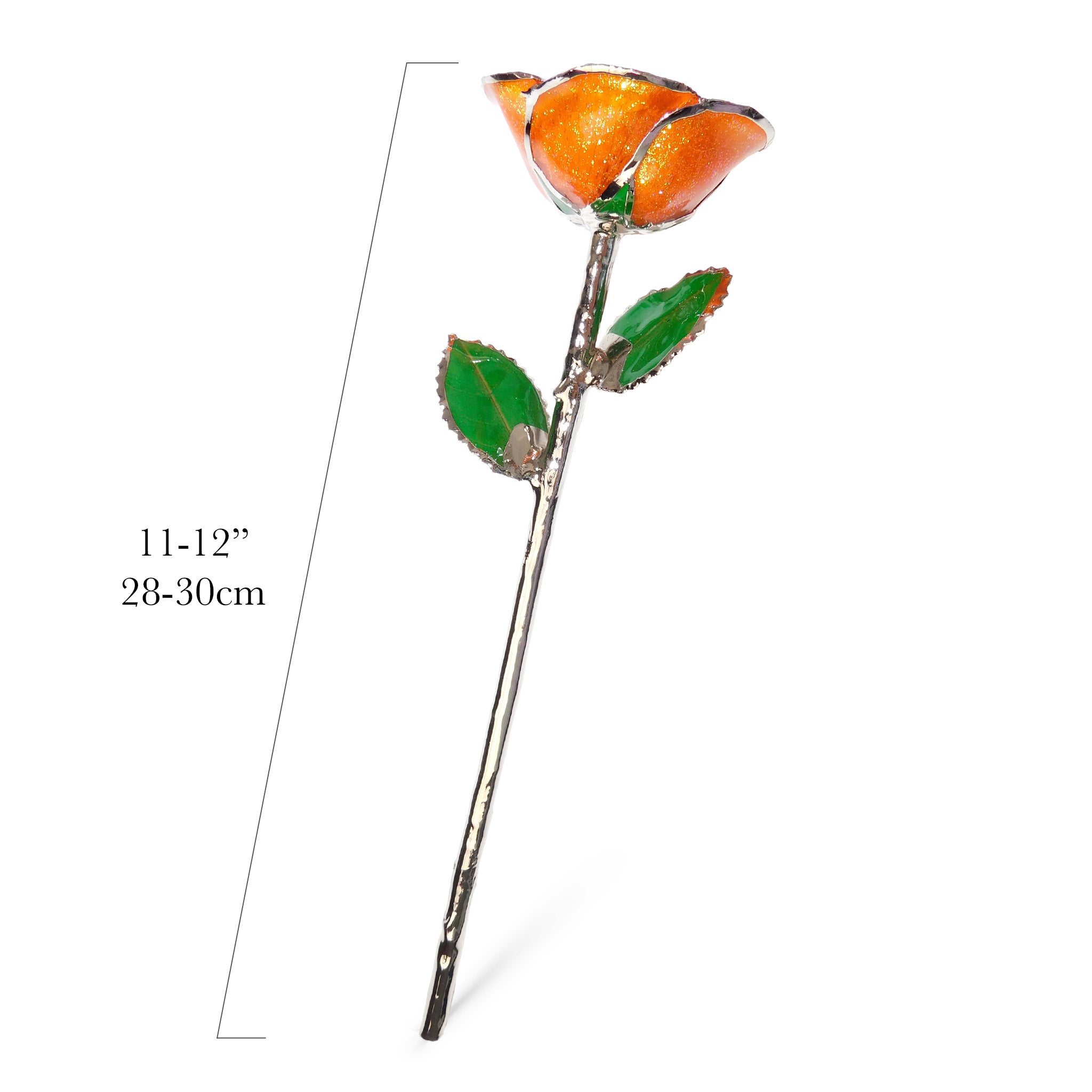 Platinum Forever Rose - Orange You Pretty