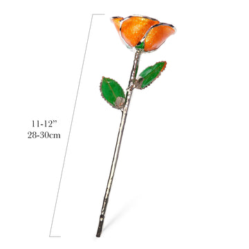 Platinum Forever Rose - Orange You Pretty