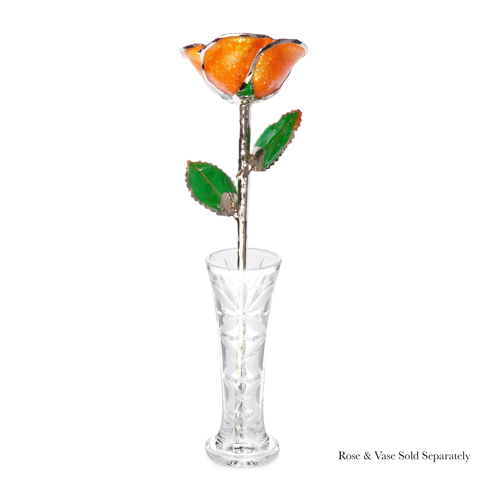 Platinum Forever Rose - Orange You Pretty