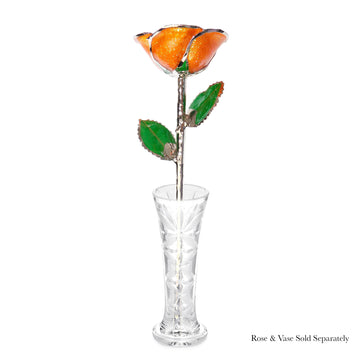 Platinum Forever Rose - Orange You Pretty